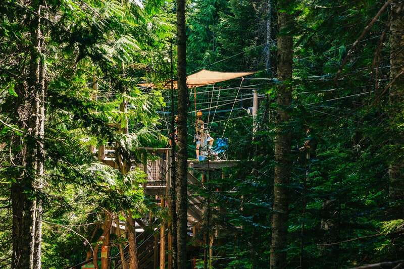 Whistler: Ziplining Experience - Environmental Focus and Local Conservation