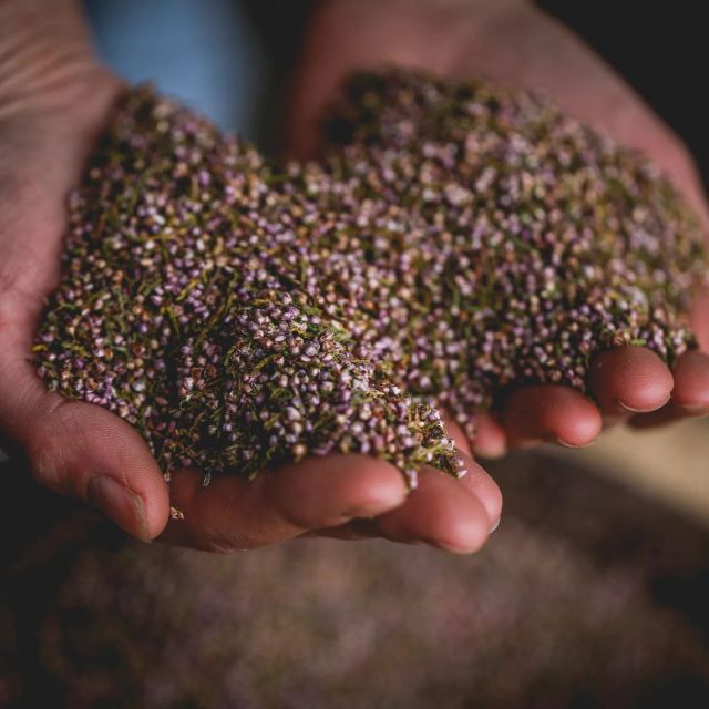 Whitby: Guided Distillery Tour with Gin Tasting - The Value of a Guided, Behind-the-Scenes Experience