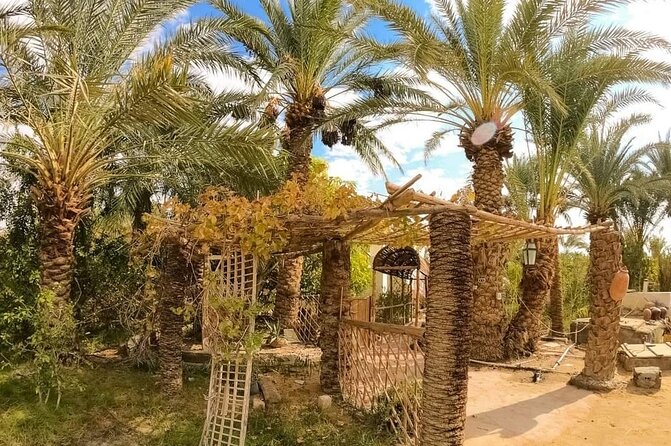 White Desert & Bahariya oasis 3 days 2 nights Tour from Cairo - Day Three: Returning Through Bawiti’s Springs and Farewell