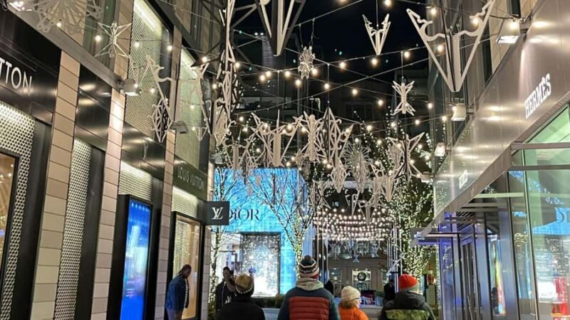 White House National Christmas Tree & Holiday Light Bus Tour - The Charm of the Willard Hotels Holiday Decor