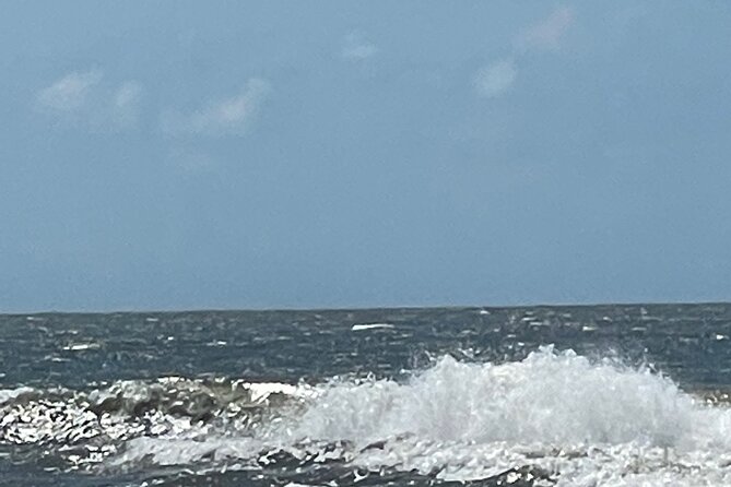 White point Battery and River Run through Charleston Harbor Boat - Who Should Consider This Tour?
