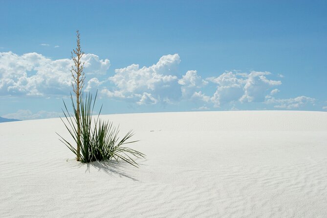 White Sands National Park Self-Guided Audio Tour - Discovering Backcountry Camping and the Dunes’ Remote Trails