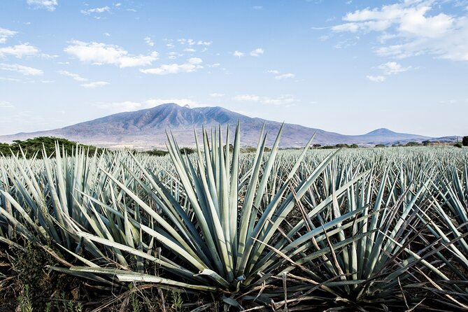 White Sands National Park Self-Guided Driving & Walking Tour - Starting Point at White Sands Visitor Center