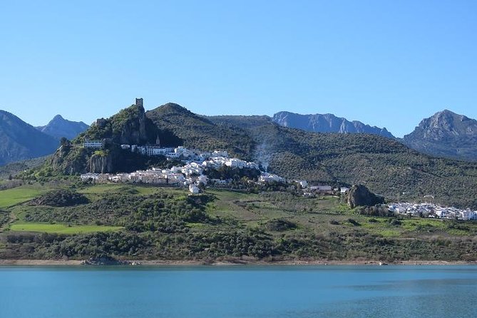 White Villages and Ronda Day Tour from Seville - Scenic Drive Through Andalucia’s Countryside and Villages