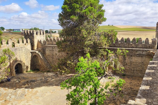 White Villages and Ronda Day Tour from Seville - The Guide’s Role and Group Dynamics