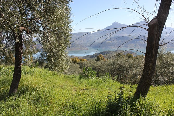 White Villages and Ronda Day Trip from Seville - Sierra de Grazalema Natural Park’s Unique Environment