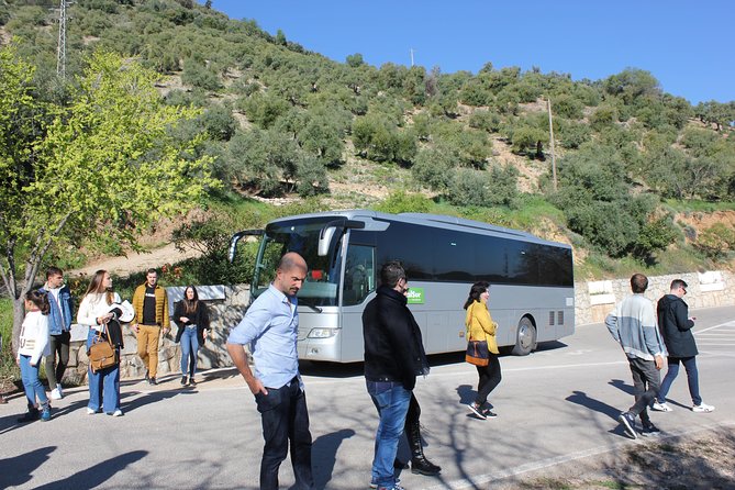 White Villages and Ronda Day Trip from Seville - Insights into the Guide and Tour Pace