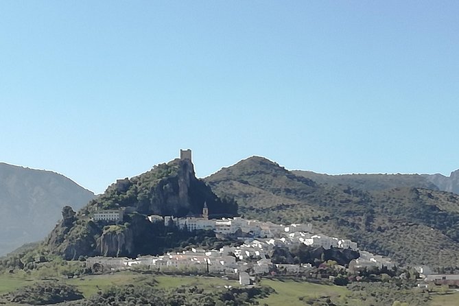 White Villages and Ronda Day Trip from Seville - Key Points