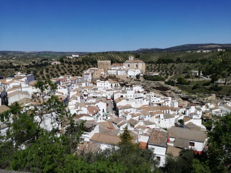 White Villages and Ronda: Day Trip from Seville - Customer Satisfaction and Feedback