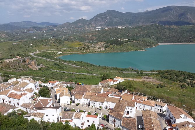 White Villages and Ronda Guided Day Tour from Seville - The Guide’s Role and Local Insights