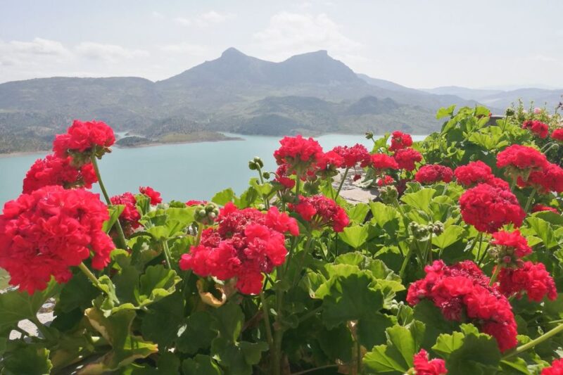 White Villages & Ronda 2-Days Trip & Overnight Stay - Exploring Zahara de la Sierra