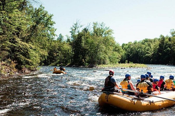 White Water Rafting Adventure on the Madawaska River - Transportation: A Well-Equipped 14-Passenger Transit