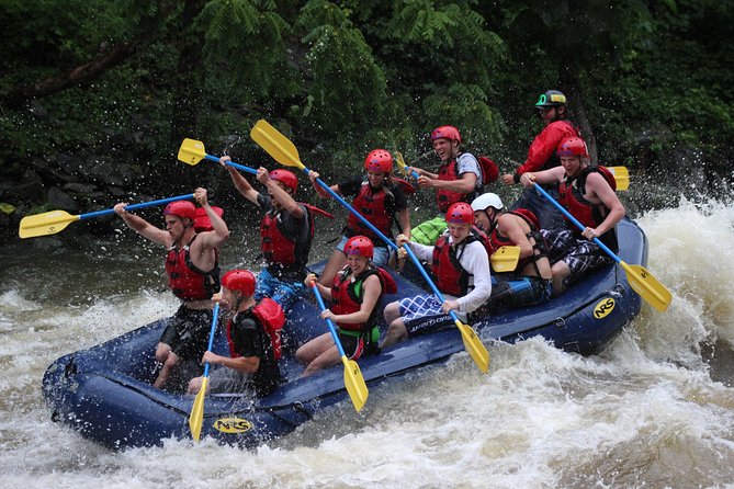 White Water Rafting Experience on the Upper Pigeon River - Exciting White Water Rafting on the Upper Pigeon River for $46