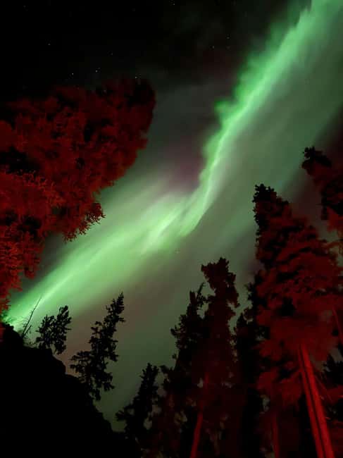 Whitehorse: Aurora Viewing with Wild Adventure Yukon - Key Points