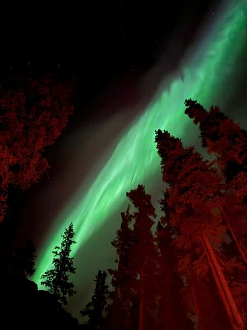 Whitehorse: Aurora Viewing with Wild Adventure Yukon - Cozy Return and Practical Logistics