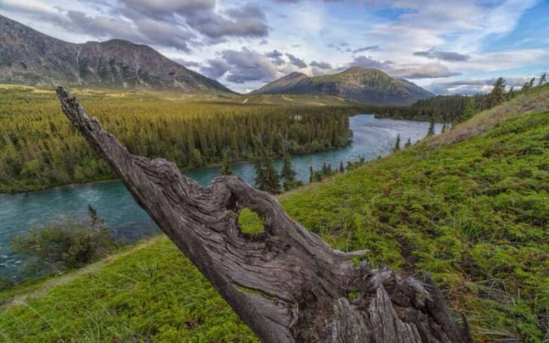 Whitehorse : Takhini Guided Half Day Paddle Adventure - Key Points