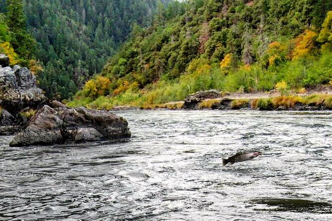 Whitewater Fishing and Rafting Experience in Rogue River - Meeting Point and Transportation Logistics