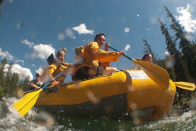 Whitewater Rafting Adventure in Jackson Hole - Classic Boats - Wildlife Encounters and Scenic Highlights