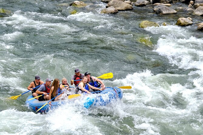 Whitewater Rafting the Salmon River - Full Day - The Salmon River: A Scenic Playground for Rafting Enthusiasts