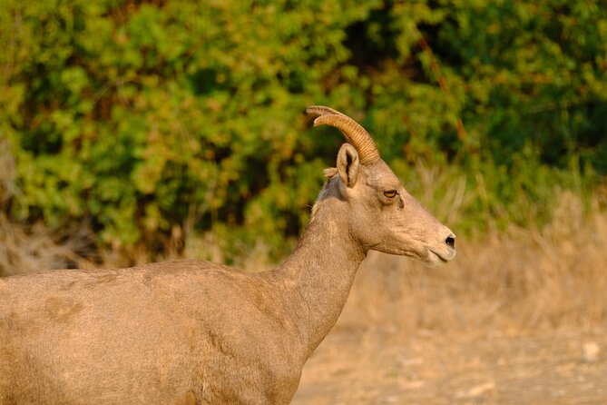 Whitewater Rafting the Salmon River - Full Day - All-Inclusive Rafting Gear and Riverside Lunch