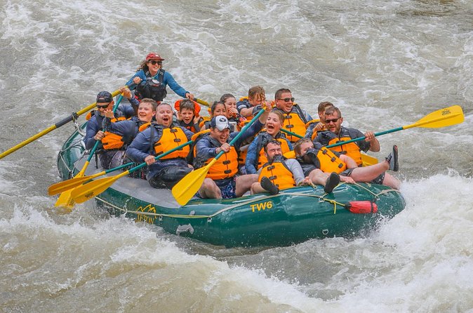 Whitewater Rafting Tour in Jackson Hole: Classic Adventure - Wildlife and Scenic Highlights Along the River