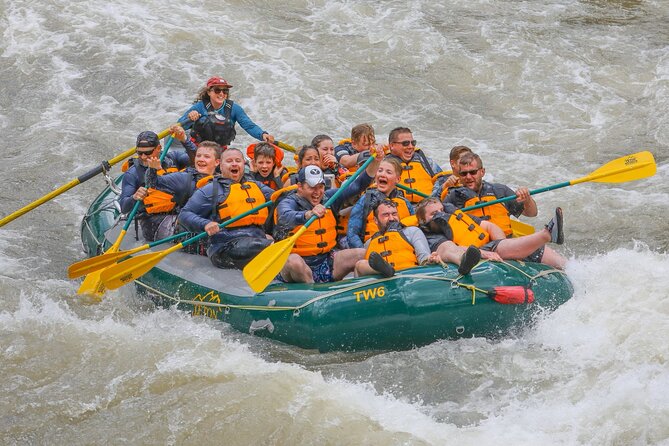 Whitewater Rafting Tour in Jackson Hole: Classic Adventure - The Review Highlights and What They Reveal