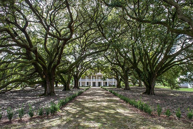 Whitney Plantation Tour with Transportation from New Orleans - Limitations and Considerations