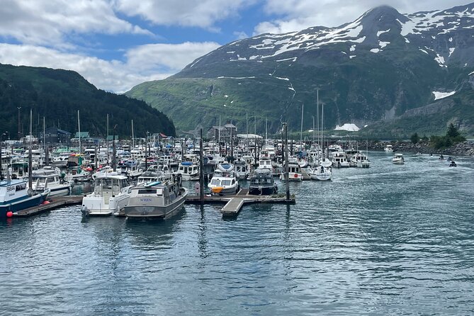 Whittier Drive and Coastal Alaska Full Day Adventure - Highlights at Port of Whittier and Fjord