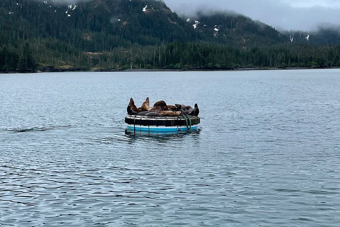 Whittier Drive and Coastal Alaska Full Day Adventure - Visiting Begich Boggs Visitor Center and Portage Lake