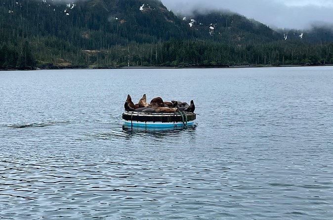 Whittier Drive and Coastal Alaska Full Day Adventure - Hiking Byron Glacier and Ice Caves