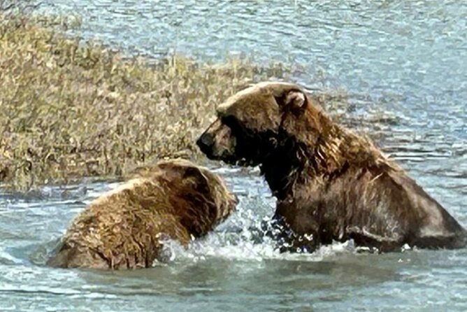Whittier to Anchorage Half Day Transit Tour From the Port - Exploring Earthquake Park’s Geological Legacy