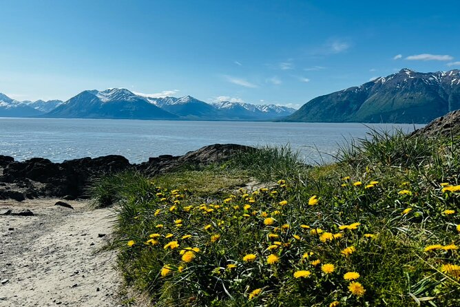 Whittier to Anchorage Land Transfer Tour With AWCC - Potter Marsh Bird Sanctuary Exploration