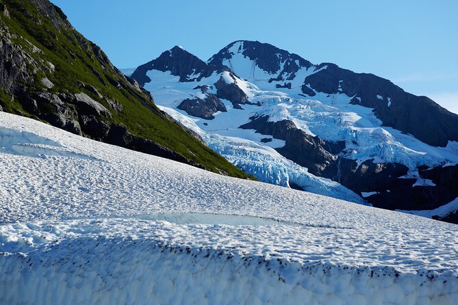 Whittier to Anchorage Post Cruise Wildlife Glacier Tour - The Comfort and Convenience of This Guided Tour