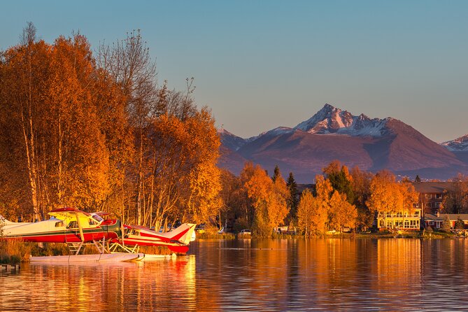 Whittier to Anchorage Post Cruise Wildlife Glacier Tour - Authentic Guides and Customer Feedback