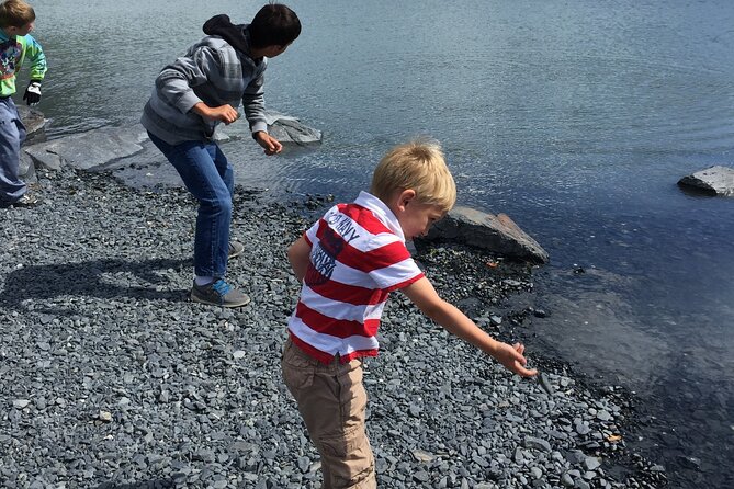 Whittier to Anchorage Sightseeing with Wildlife Tour - Explore Alaska’s Scenic Seward Highway in Comfort and Style