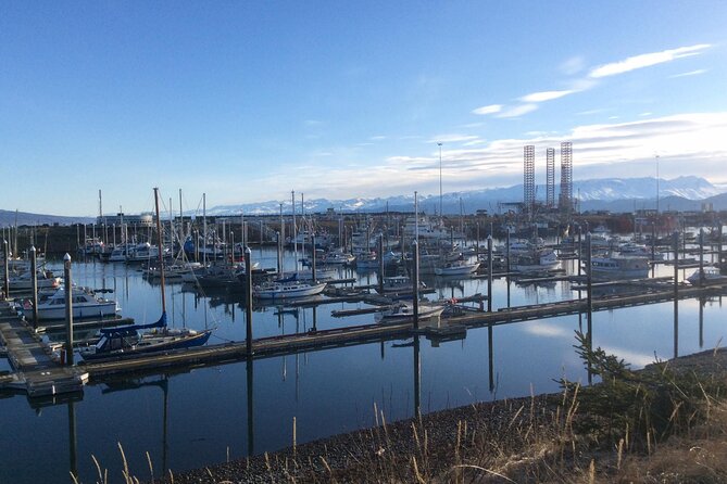 Whittier to Anchorage Sightseeing with Wildlife Tour - Starting Point: Whittier Cruise Ship Terminal