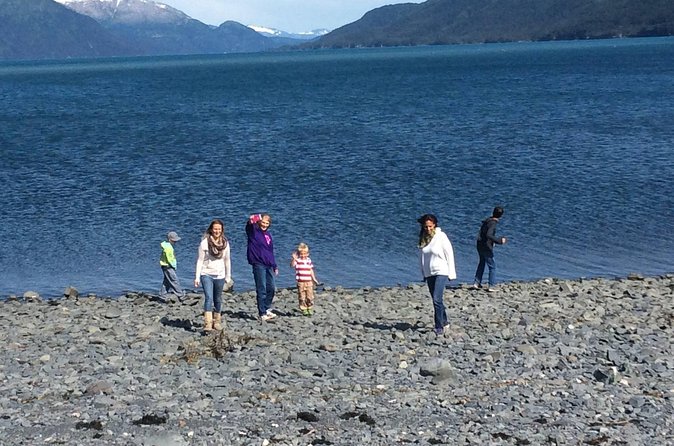 Whittier to Anchorage Sightseeing with Wildlife Tour - Final Stop in Anchorage at Alaska WildBerry Products