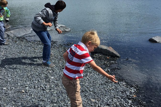 Whittier to Anchorage Sightseeing with Wildlife Tour - Convenient Ending at Ted Stevens Anchorage International Airport