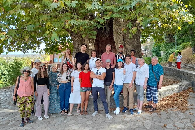 Whole day Wine Tour to Kakheti from Tbilisi - Discovering Sighnaghi, the City of Love