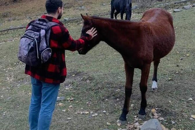 Whole day Wine Tour to Kakheti from Tbilisi - Celebrating Kakheti’s Capital: Telavi