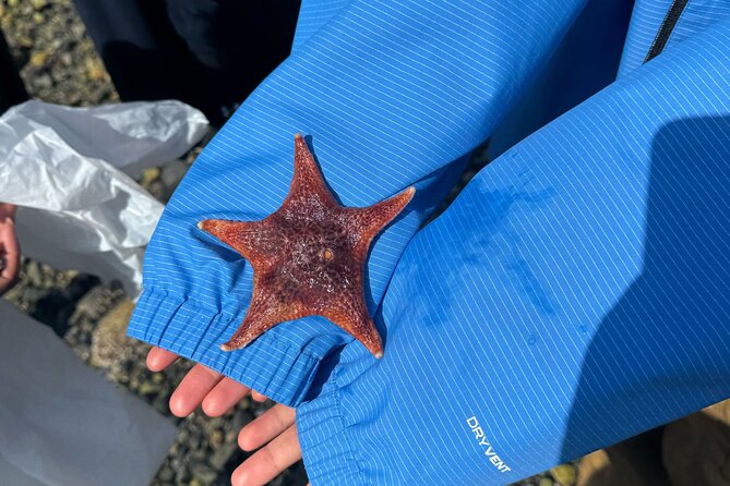 Whytecliff Park Indigenous Salish Sea Walking Tour - Key Points