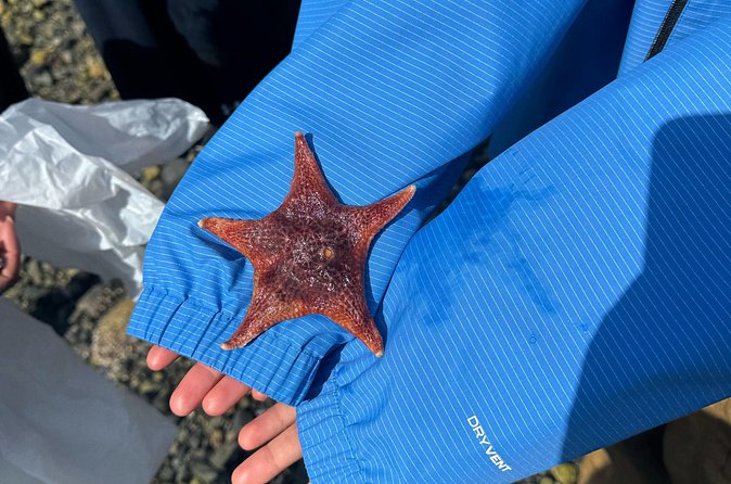 Whytecliff Park Indigenous Salish Sea Walking Tour - Indigenous History and Connection to the Ocean