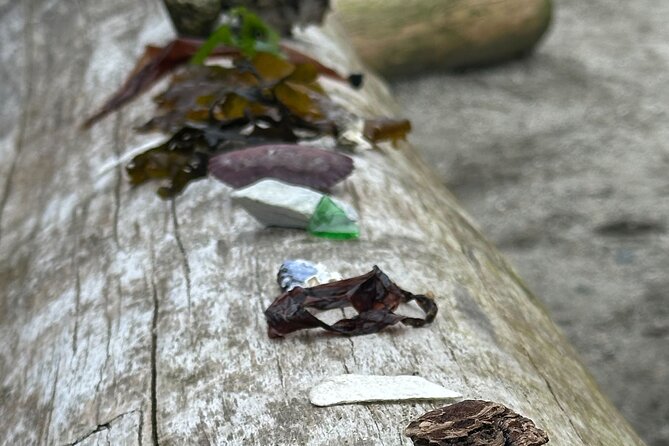 Whytecliff Park Indigenous Salish Sea Walking Tour - What Sets This Tour Apart from Similar Experiences