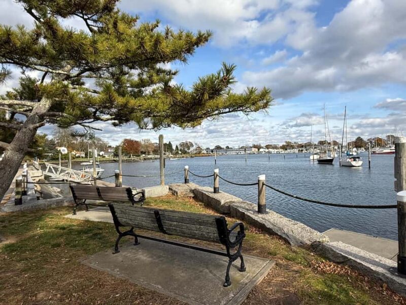 Wickford, RI: Narragansett Bay Seal-Watching Tour by Boat - Pricing, Booking, and Cancellation Policies