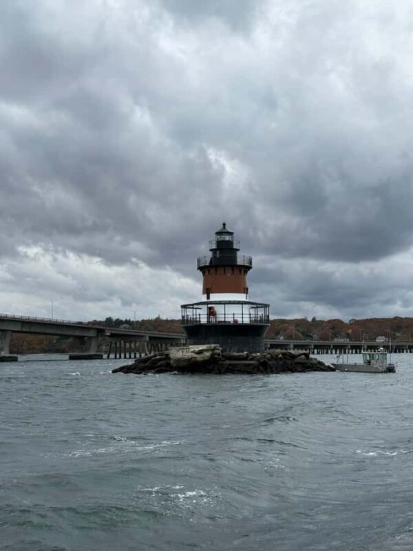 Wickford, RI: Narragansett Bay Seal-Watching Tour by Boat - Reviews and Guest Feedback