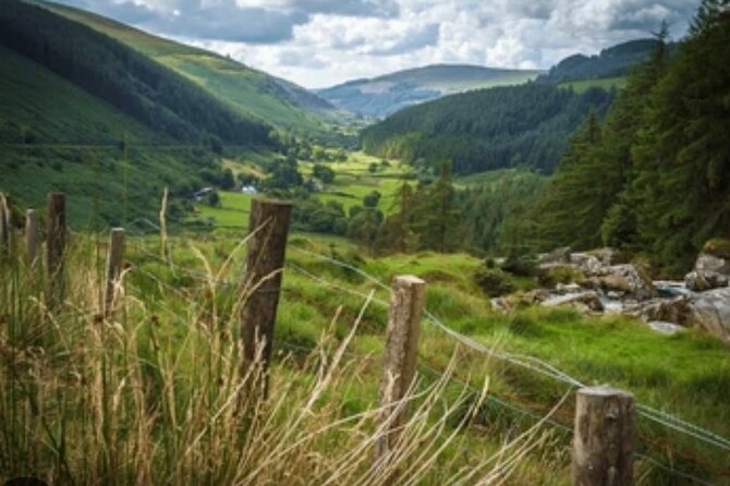 Wicklow and Glendalough Private Chauffeured Sightseeing Tour - Powerscourt Waterfall: Ireland’s Tallest Cascade
