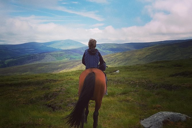 Wicklow Mountains Horse Trekking - Explore the Wicklow Mountains on Horseback for an Authentic Irish Adventure