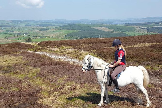 Wicklow Mountains Horse Trekking - Professional Guides and Friendly Atmosphere