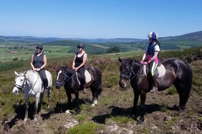 Wicklow Mountains Horse Trekking - Why This Horse Trekking Stands Out in Wicklow