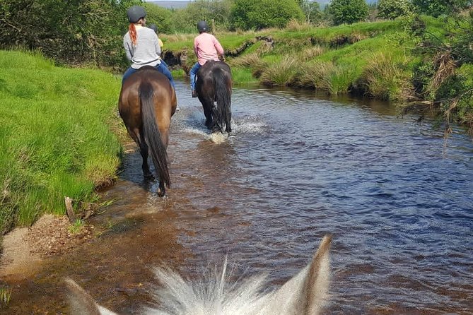 Wicklow Mountains Horse Trekking - The Sum Up: A Must-Experience Horse Trek in Wicklow